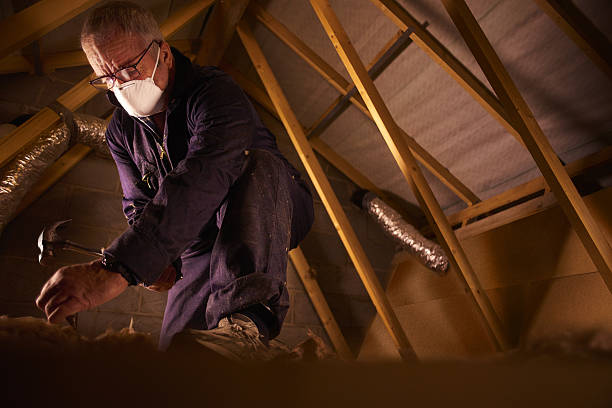 Best Insulation for Specific Applications in Richmond West, FL